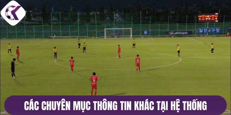 Các chuyên mục thông tin khác tại hệ thống