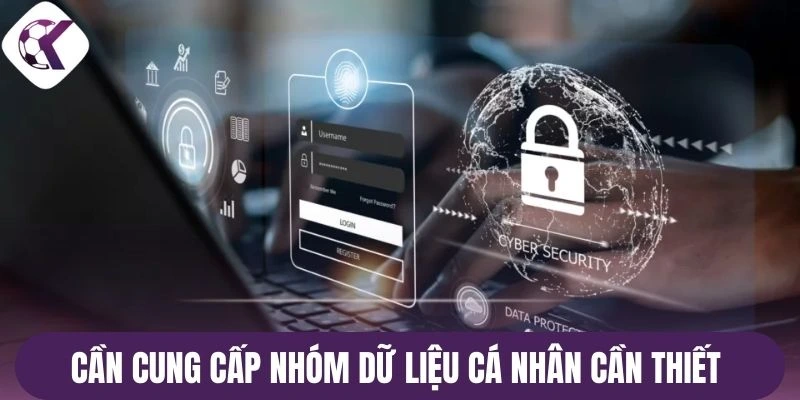 Cần cung cấp nhóm dữ liệu cá nhân cần thiết