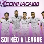 Hiệu suất thi đấu của các CLB V League