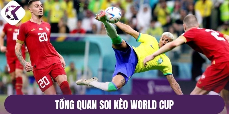 Tổng quan soi kèo World Cup