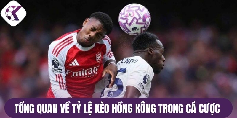 Tổng quan về tỷ lệ kèo Hồng Kông trong cá cược